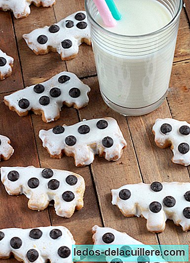 Recipe for dairy cows cookies to make with children