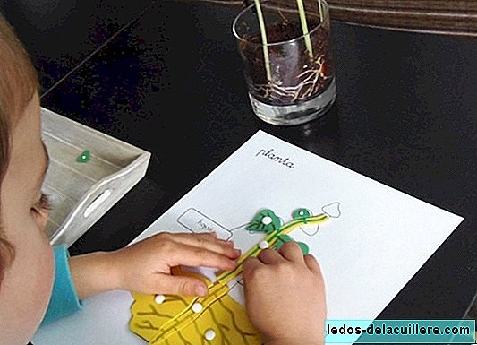 Sieben Montessori-Aktivitäten für Kinder zu Hause