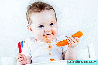 Seven items Baby-led weaning to promote autonomy in feeding your baby