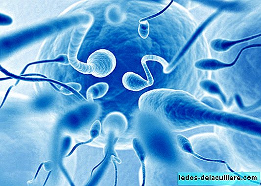 Vielleicht werden in Zukunft Spermien und Eizellen nicht mehr benötigt, um ein Baby zur Welt zu bringen