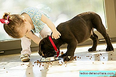 إن وجود حيوانات أليفة في المنزل خلال السنة الأولى من الأطفال من شأنه أن يساعد في منع حدوث الحساسية