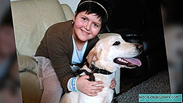 Uma grande conquista: uma garota epilética pode ir às aulas com seu cão de terapia