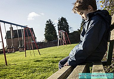 Drie werknemers van een school in Madrid hebben onderzoek gedaan naar misbruik van een kind met autisme