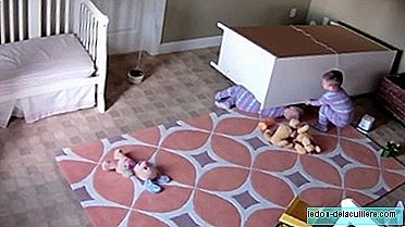 두 살짜리 아기가 쌍둥이 형제가 가슴에 찌그러지는 것을 막아줍니다 (비디오)