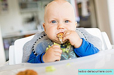 A study reveals that the feeding of babies influences the metabolism of their intestinal bacteria