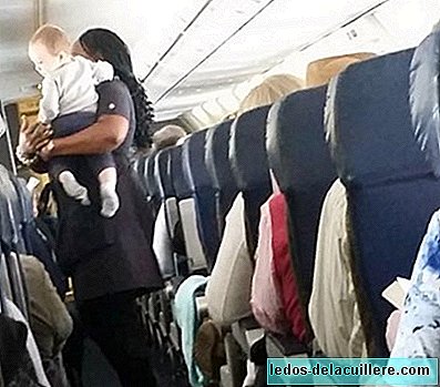 아기의 첫 비행 덕분에 승무원이 유명해집니다.