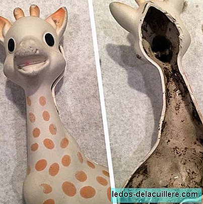 Czujna matka legowiska, które Giraffe Sophie znalazła w słynnym gryzaku