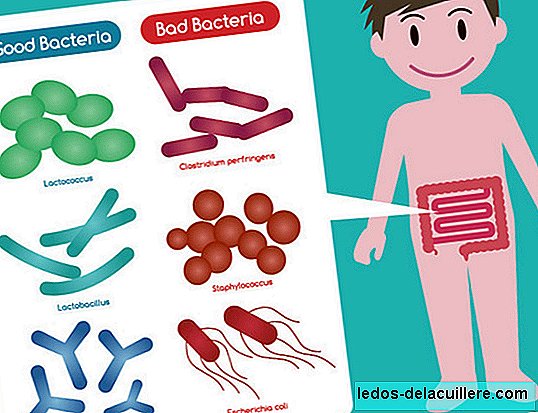 Uso de probióticos em crianças: quando administrá-los e o que os pediatras recomendam?