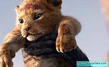We already have the first trailer of "The Lion King", and we have fallen in love with Simba!