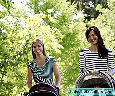 5 recommendations to keep in mind when choosing the ideal stroller