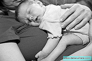 Petting the newborn heals the effects of stress on pregnancy