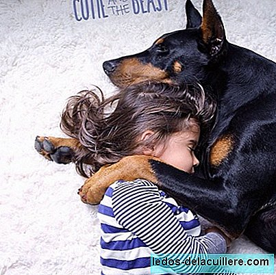 Pasji ljubci: čudovite podobe deklice z njenim najboljšim prijateljem, dveletnim Dobermanom