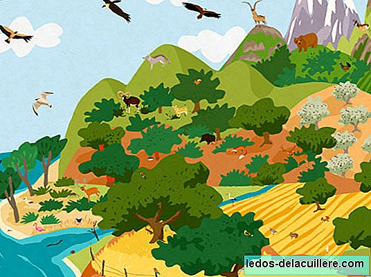 Animal Habitats is an iPad application that allows children to know and respect the world's wildlife