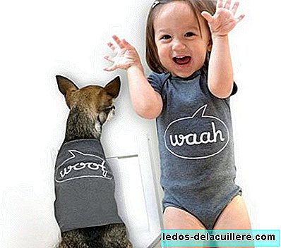 Babawowo: clothes for the baby to match the dog's
