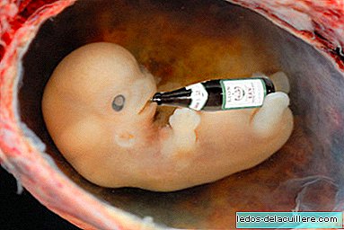 Het drinken van zwangere alcohol kan in Groot-Brittannië als een misdrijf worden beschouwd
