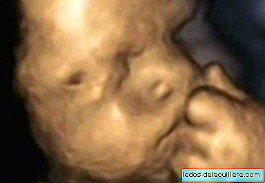 How are the baby's gestures inside the belly of a stressed mother?