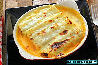 Cannelloni with Bolognese. The recipe that mom, dad and children like