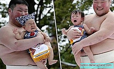 About 800 babies participate in a contest for the crybaby baby in Japan