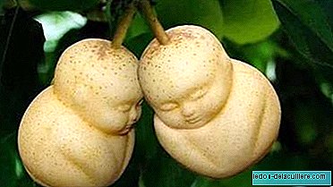 Do you know the baby-shaped pears? They are in China