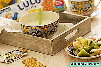 Tips Teddy LULU: recipes, ideas and more