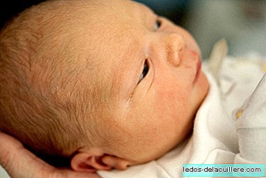 Wie groß ist der Magen eines Neugeborenen?