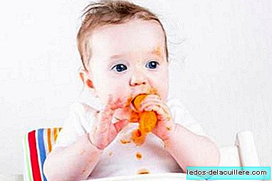 Kdy začalo vaše dítě jíst kousky? Otázka týdne