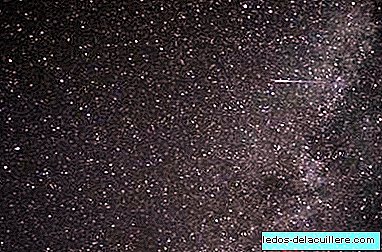 When are they and where to see the rain of stars of the Perseids of 2014