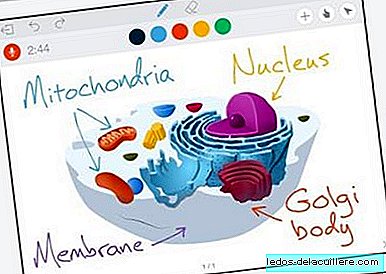 Educreations launches version 2.0 of its application and continues to work to improve education