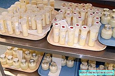 O banco de leite para bebês prematuros da Catalunha