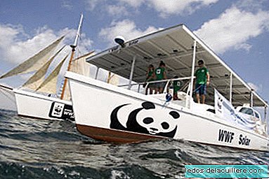 Laiva WWF Solar kuģos gar Spānijas krastiem, lai atklātu mūsu jūras paradīzes