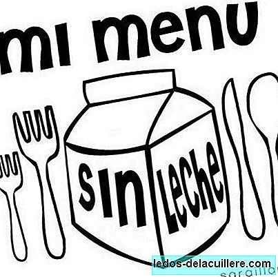 The blog for families of children allergic to milk: My menu without milk