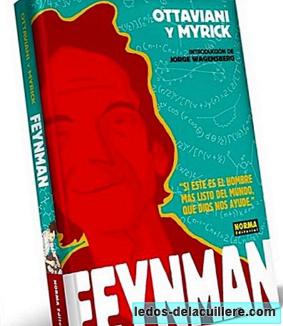 Feynman's comic to approach the physics of the 20th century in a fun and practical way