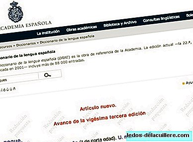 Kamus RAE untuk mempelajari ejaan bahasa Sepanyol di Internet ingin mengiklankan