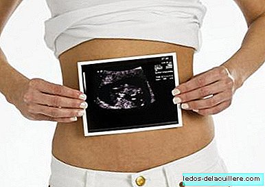 De foetus begint eieren te "vervaardigen" vanaf negen weken zwangerschap