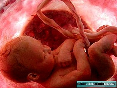 Il feto avverte dolore dalla 35a settimana di gestazione, secondo lo studio