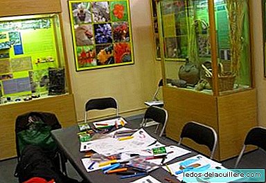 متحف التنوع البيولوجي في إيبي (أليكانتي) ، زيارة مثيرة للاهتمام مع الأطفال