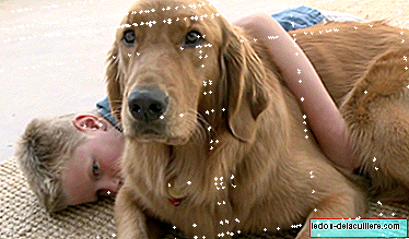 The healing power of pets: the story of a child with autism and his golden retriever