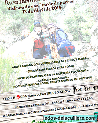 Next Saturday you can participate in a route through the Sierra de Madrid, for families with children and pets
