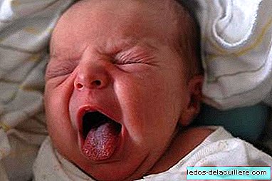 The sense of taste in the baby