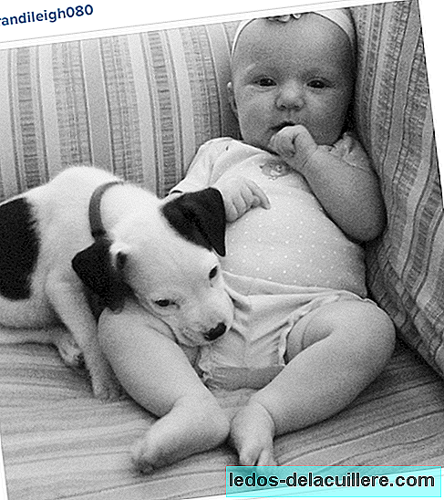 De video van het moment: schattige baby en zijn pitbull puppy klaar om samen een dutje te doen