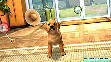 The Pets video game available for PSVita and also on mobile devices