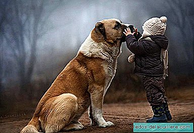 Elena Shumilova, the mother who is giving to speak for the magical photos of her children with animals