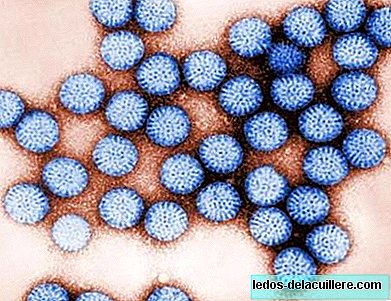 In winter, cases of rotavirus gastroenteritis are doubled