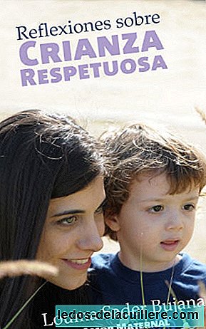 In 'Reflections on respectful parenting' the topics that most concern parents of young children have been compiled