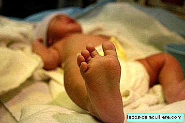 January is the month of prevention of congenital defects