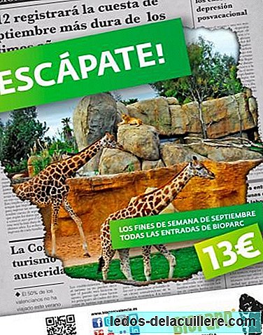 Escape in September to Bioparc Valencia, which is cheaper
