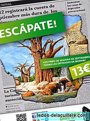 Menekülés a valenciai Bioparcba csak 13 euró / fő