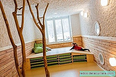 Laiad ruumid ja loodusest inspireeritud dekoratsioon: see on Drachenreiteri lasteaed