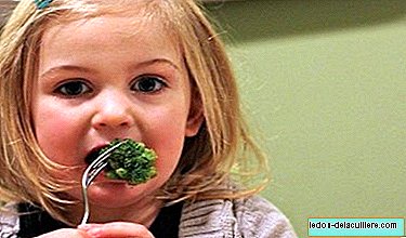 Pemberian Makanan Bayi Khusus: resep untuk anak-anak antara dua dan tiga tahun (II)