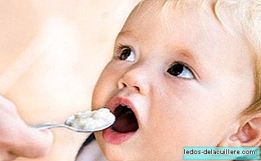 Ειδικές ζωοτροφές για βρέφη: συνταγές για παιδιά ηλικίας ενός έως δύο ετών (I)